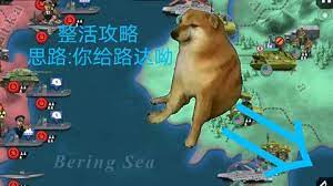 下载 (11).jpg