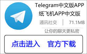 纸飞机翱翔，畅享想象！