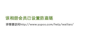 忍者机器人大战：闪电身手