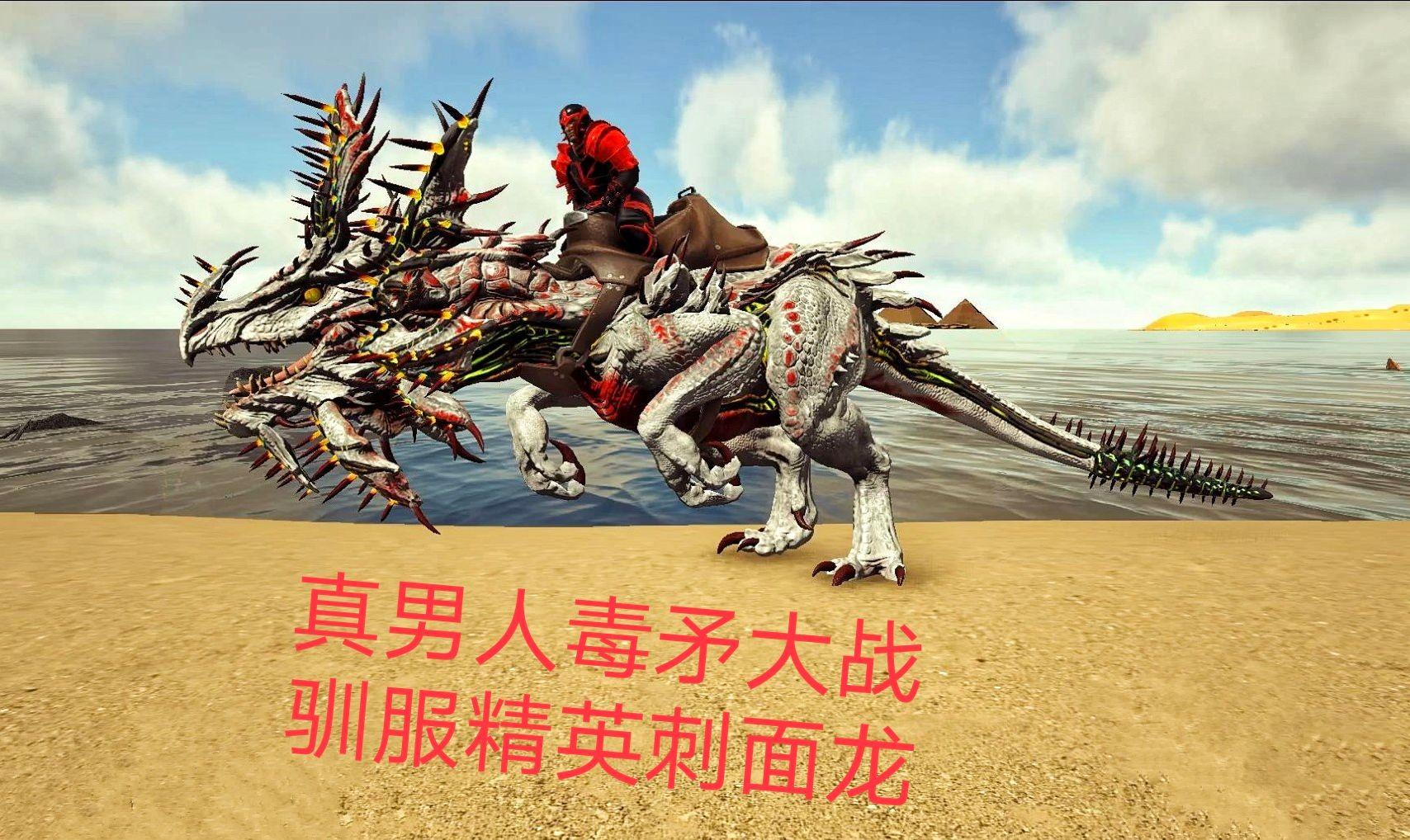 龙之矛角色：战场上的铠甲驰骋