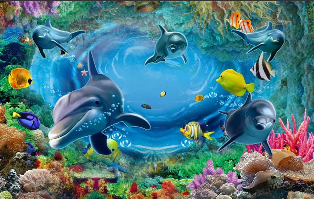 潜入海底花园，与海洋接吻
