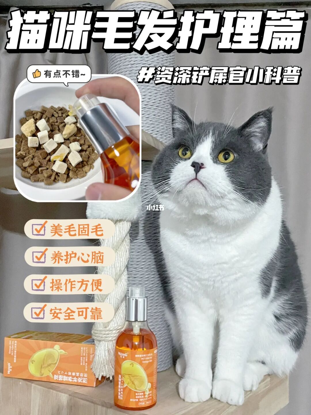 猫咪杜区app官网_猫咪杜区app官网_猫咪杜区app官网