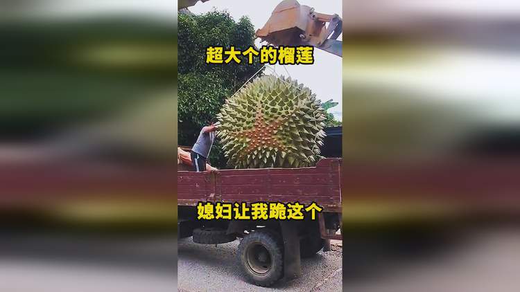 榴莲视频在线访问_榴莲视频在线播放_视频在线榴莲播放