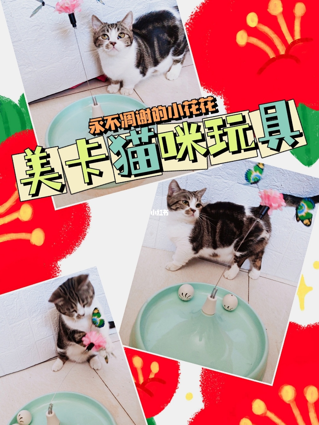 小猫手机推荐游戏_小猫推荐手机游戏软件_适合小猫的游戏