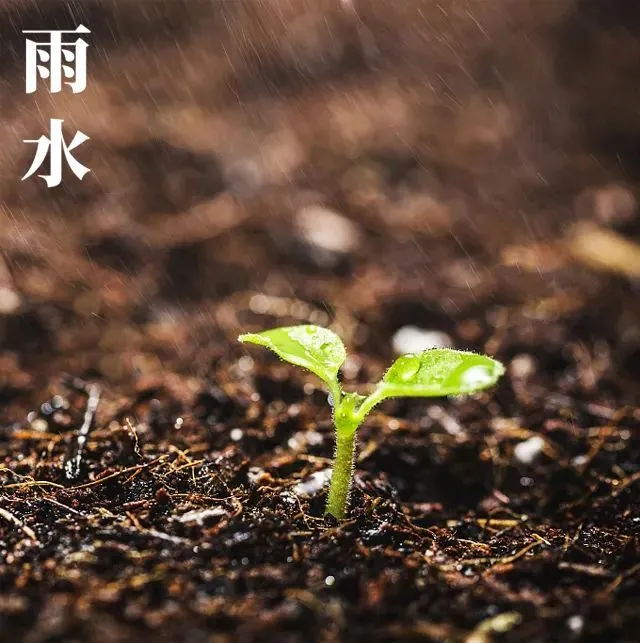 奇正相生出奇制胜_奇正相生_奇正相生的战例