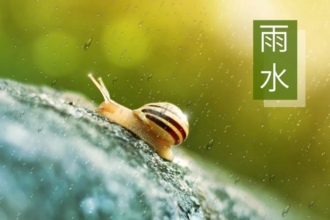 奇正相生的战例_奇正相生_奇正相生出奇制胜