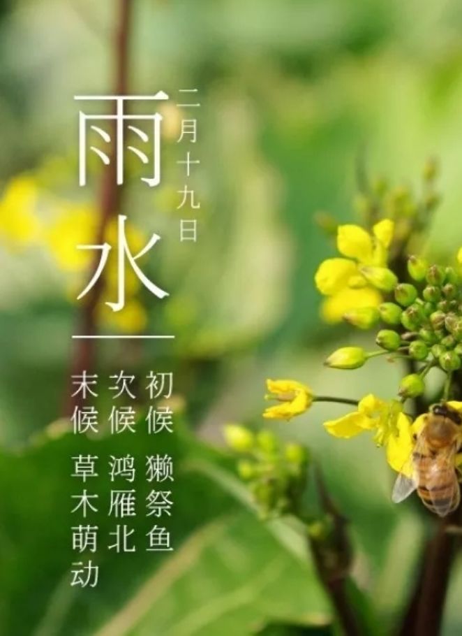 奇正相生出奇制胜_奇正相生的战例_奇正相生