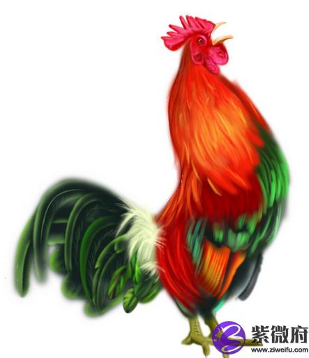 1981年属什么生肖-1981年生肖大揭秘!你属什么? 1981年属什么生肖-1981年生肖大揭秘!你属什么?