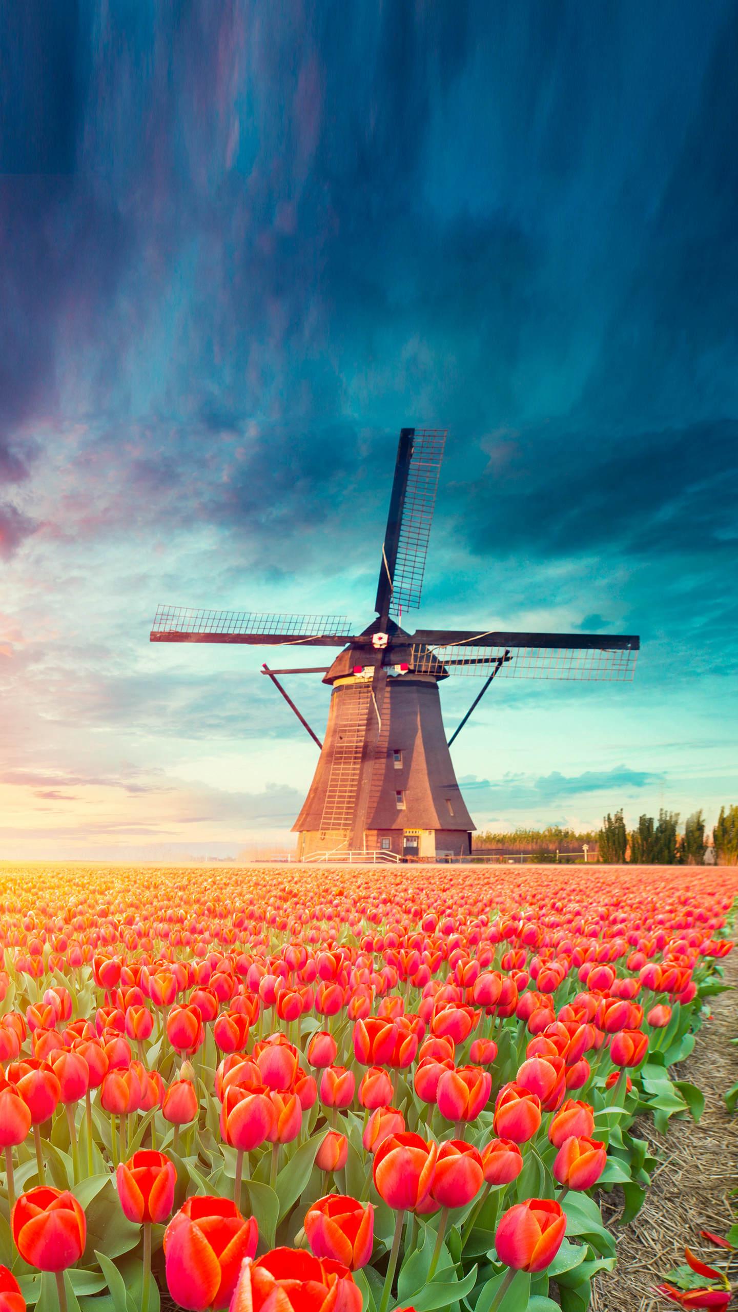 风车奇观：探秘荷兰共和国的标志性建筑
