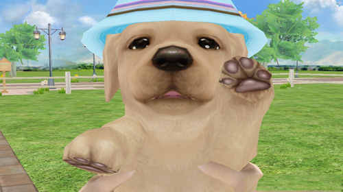 一只小狗的手机游戏视频_视频小狗手机游戏软件_视频小狗手机游戏怎么玩