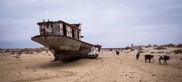 海蛾号_海蛾号_海蛾号