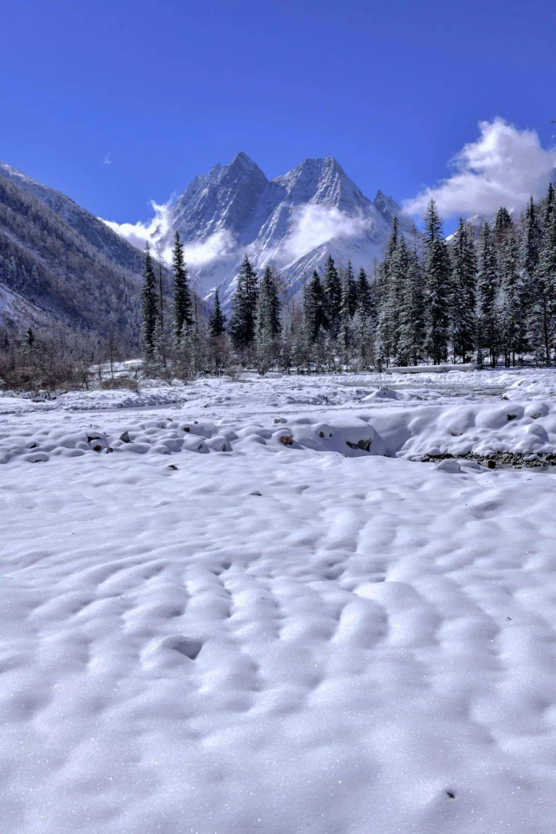 游戏雪景_雪景手机游戏_雪景手机游戏有哪些