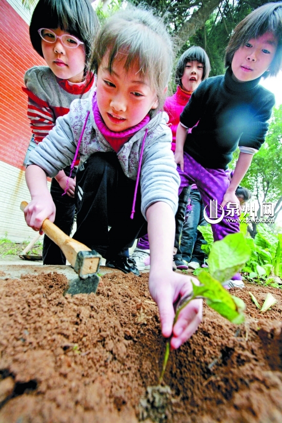 偷菜手机游戏推荐_偷菜的手机游戏_偷菜手机游戏