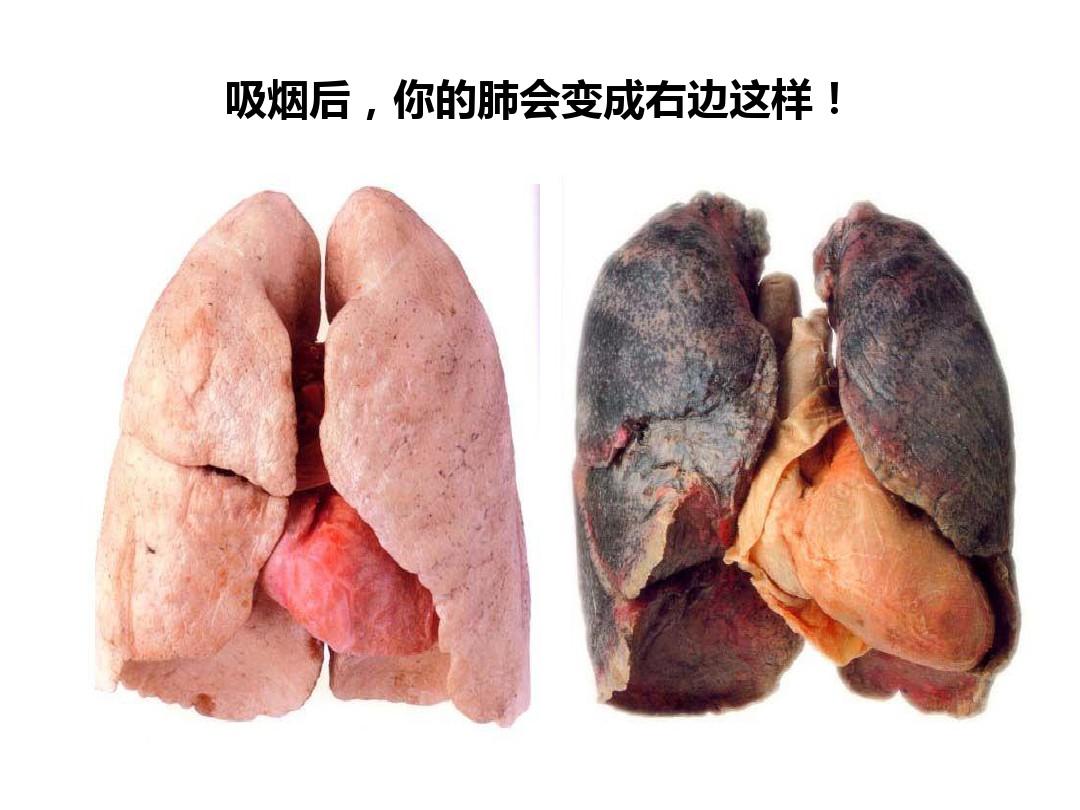 软件Tag_tagoo什么软件_软件Tagoo是干嘛的