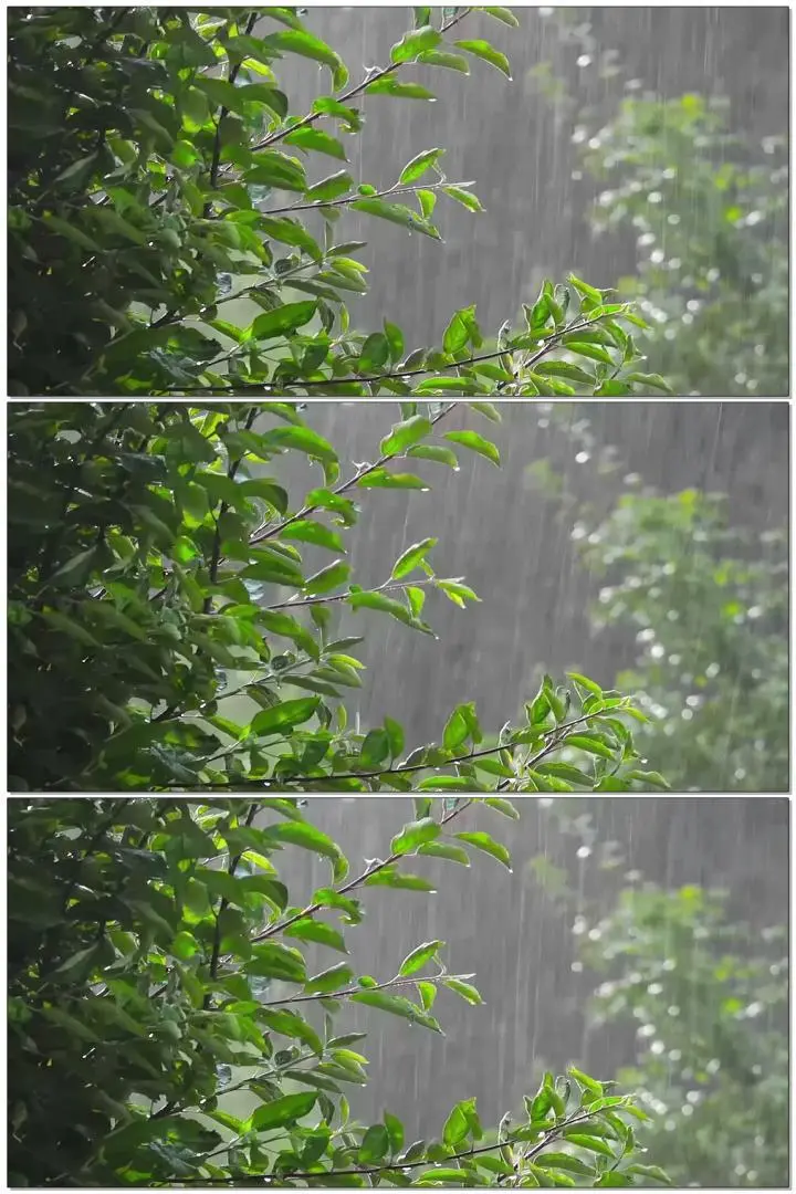 下雨短视频可保存-下雨天也能high，雨中短视频让你身临其境
