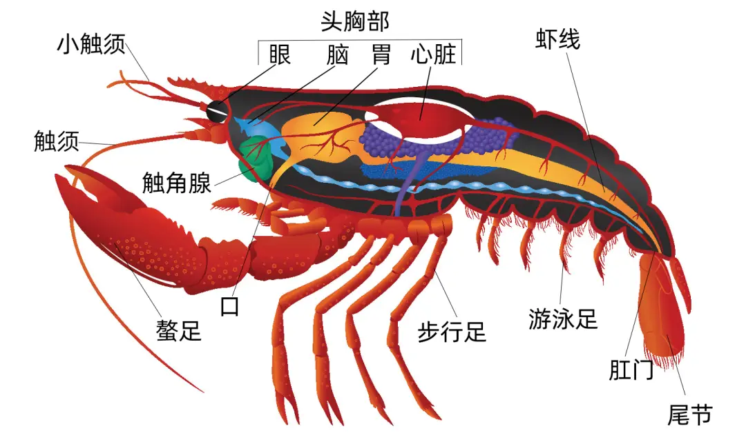 联网的生存手机游戏_无需联网生存游戏的手机游戏_无需联网的手机生存类游戏