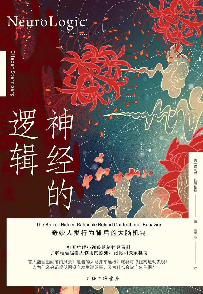 鲇川圆：日本网络的神秘大咖