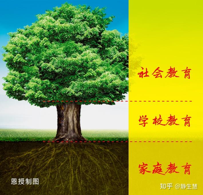 子以父作马父望子成龙_如父如子在线看_子以父作马父望子成龙的意思