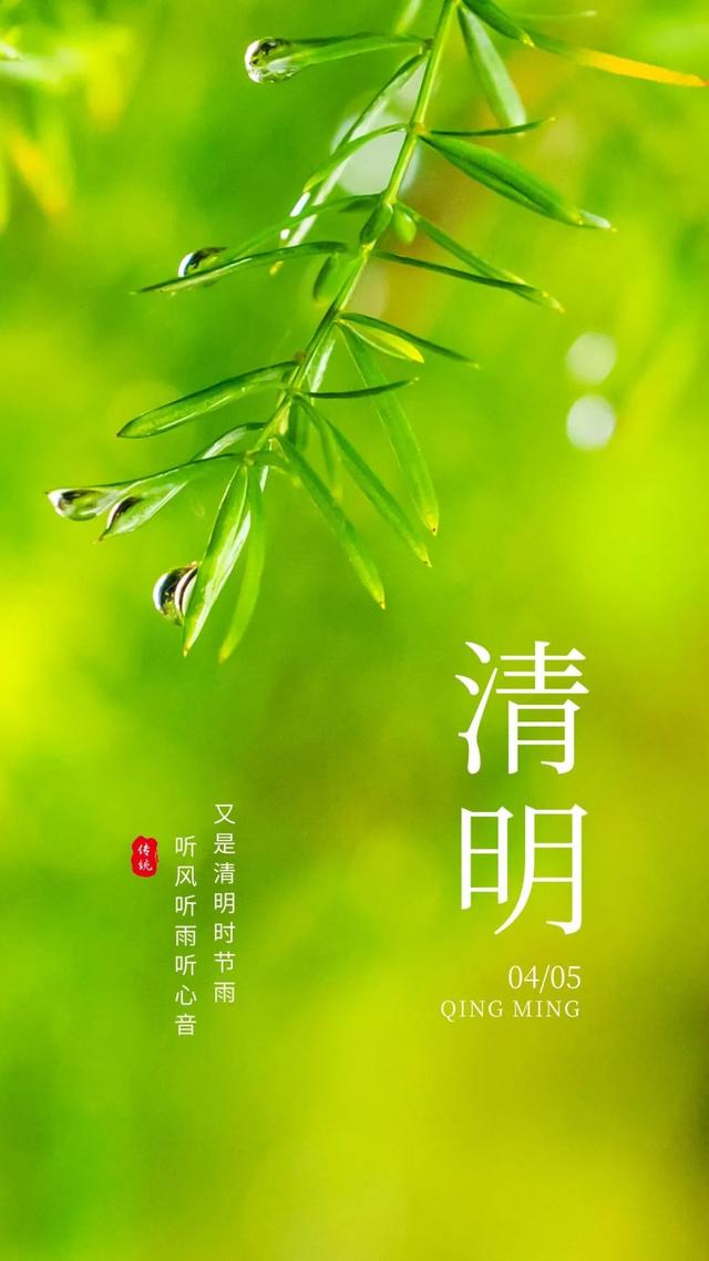 清明图片大全大图_清明图片大全最新2021_清明节大全图片简笔画