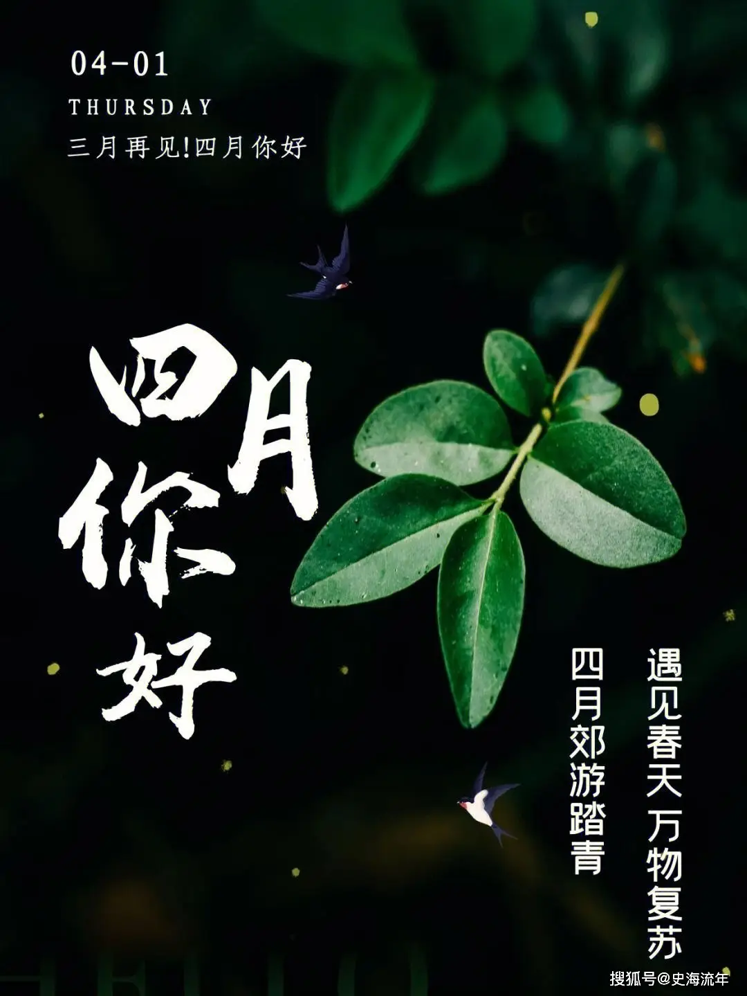 月经量少是怎么回事_月经量少颜色黑褐色是什么原因_6月