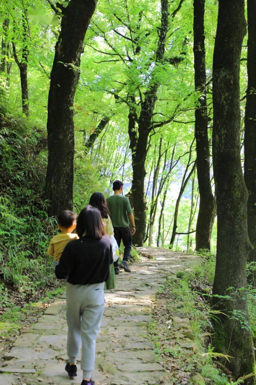 秋野花_野花秋寂历江草晚凄迷_野花秋天诗