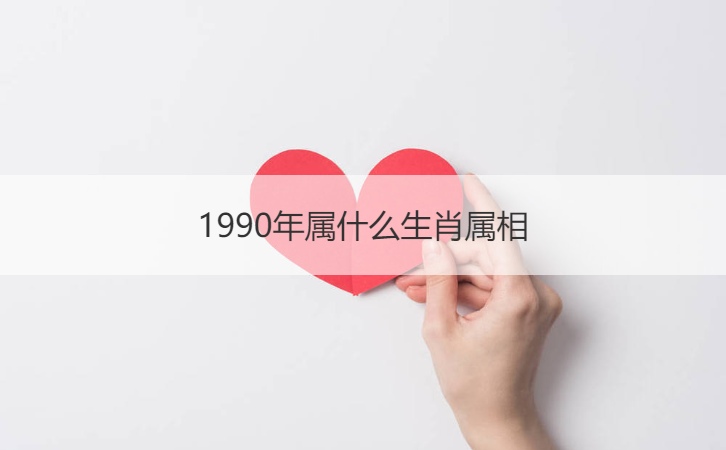 1999年属什么生肖-1999年生肖兔的人，优雅与包容的力量