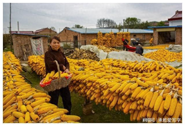 手机病娇游戏推荐_游戏手机病_手机版病模拟器