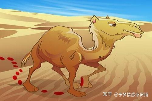 莫克和瑞蒂：童年温暖记忆，深刻情感与生活哲理的故事