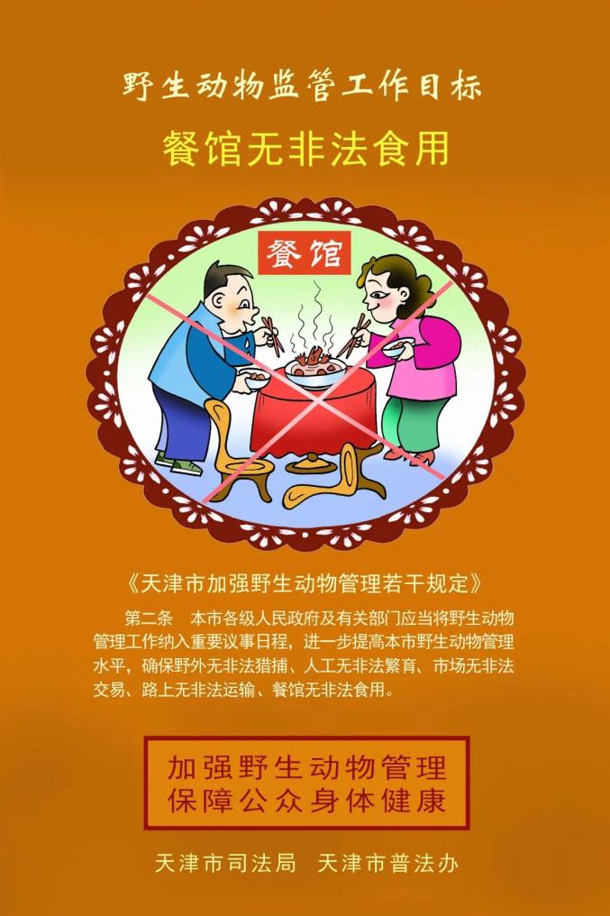 感受雷神之怒：大自然的力量与警示，让我们敬畏自然