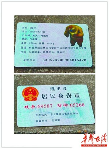 身份证背面p图_背面身份证照片_身份证背面高清真实