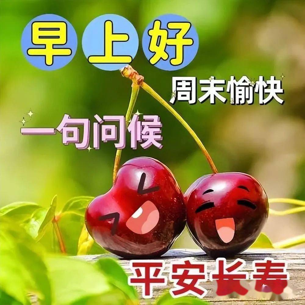 节日今天是_节日今天什么节日_今天节日