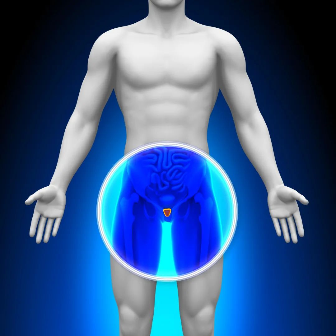 男人节：致敬男性，关注他们的情感与健康