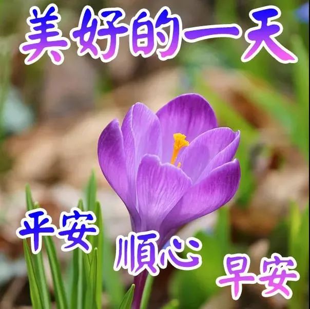 大桥优子_大桥优子_大桥优子