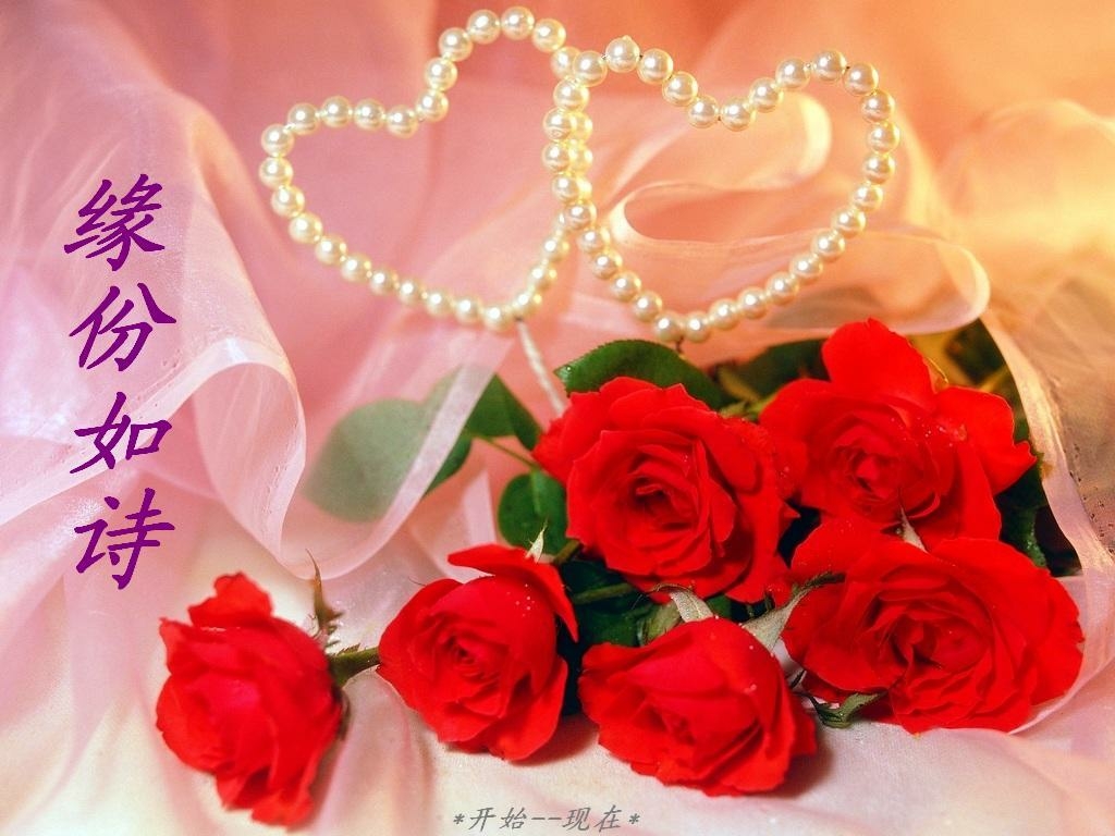 手机玩游戏需要流量吗_看手机玩游戏_小度我要看的手机游戏