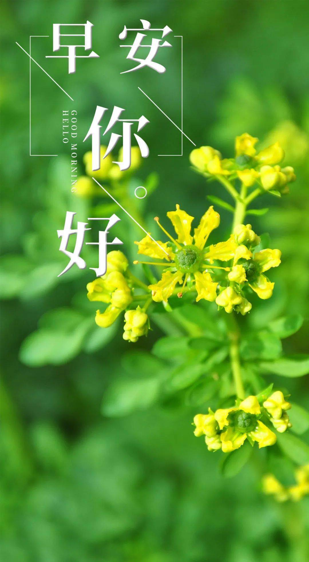 月年2023年_2022年5月10日_2025年是不是闰月年