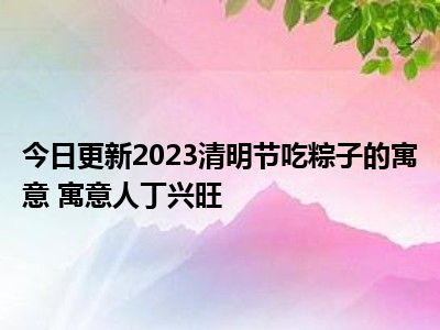 端午吃粽子寓意是什么_端午粽子的寓意_端午节粽子代表什么