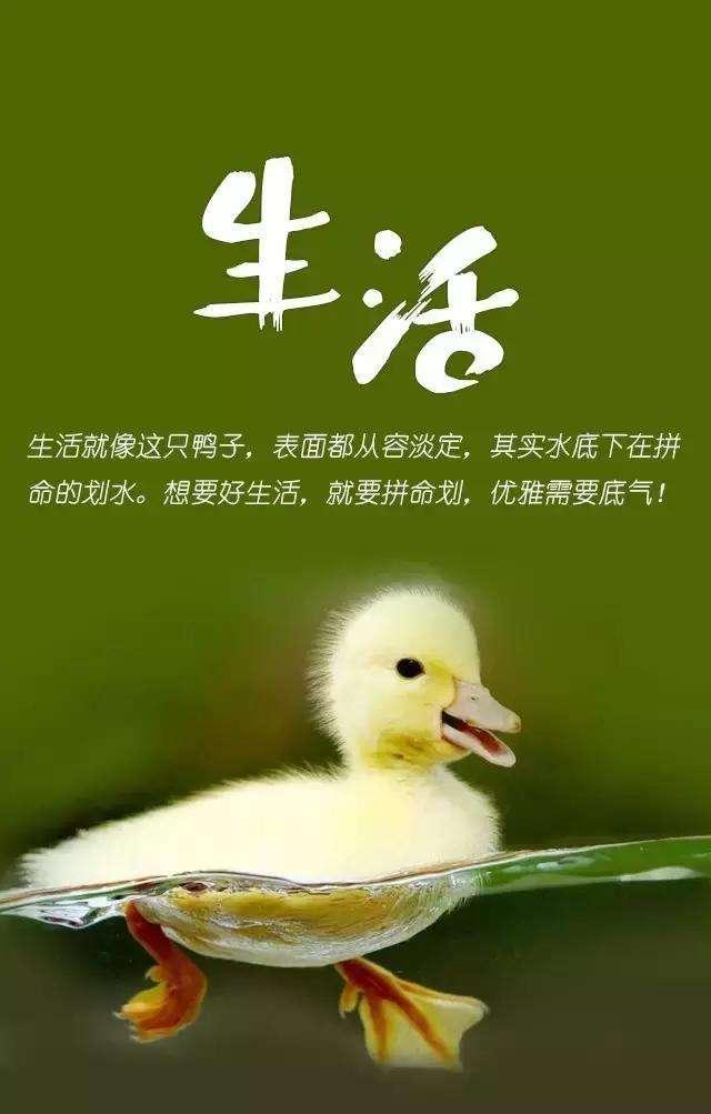 禁忌边缘线_禁忌边界线为什么有毒_禁忌的边界线