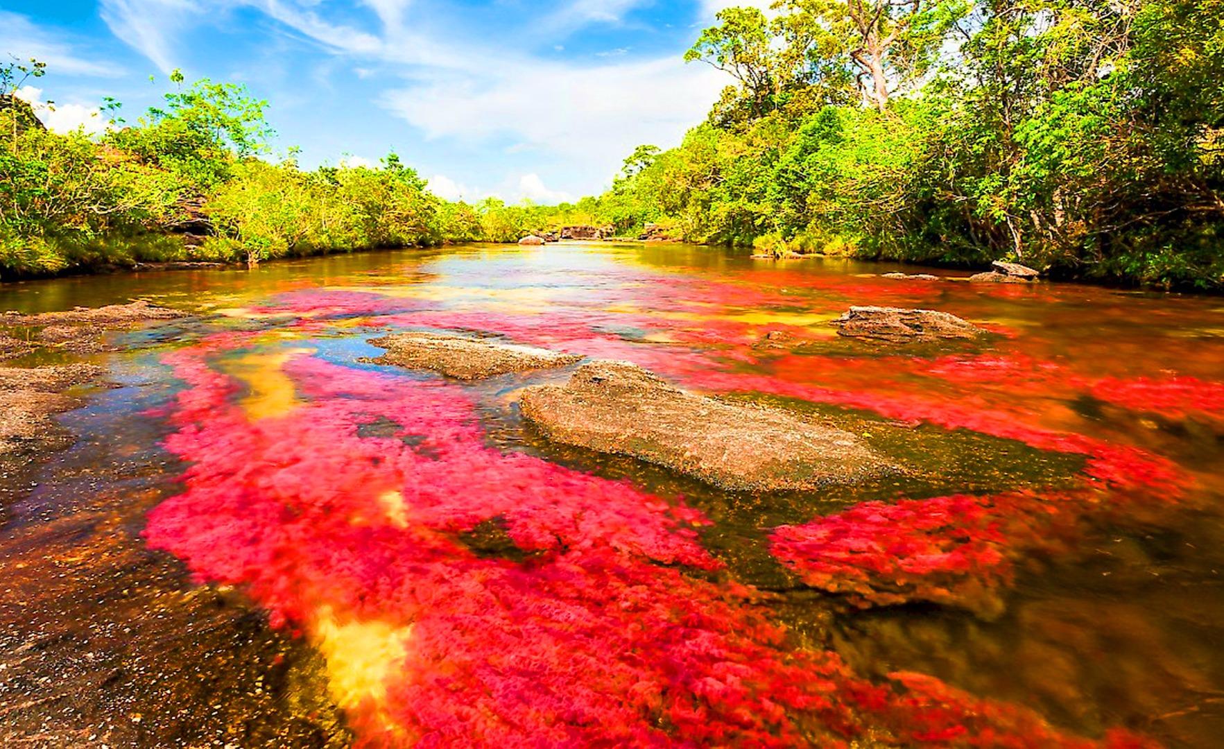 小米手机涂色游戏:让你的心情如彩虹般绚烂的秘密武器(图3) 手机涂色游戏有哪些app_小米手机涂色游戏_小米涂色手机游戏怎么设置