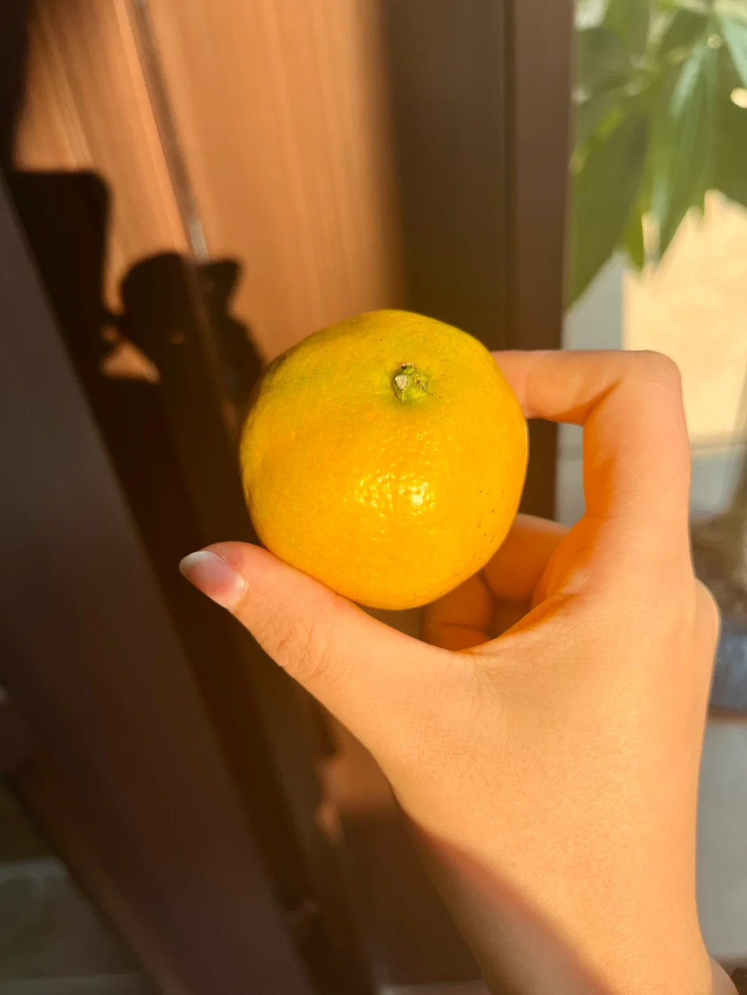 芭芭农场怎么换果树_芭芭农场能换树吗_芭芭农场换果树