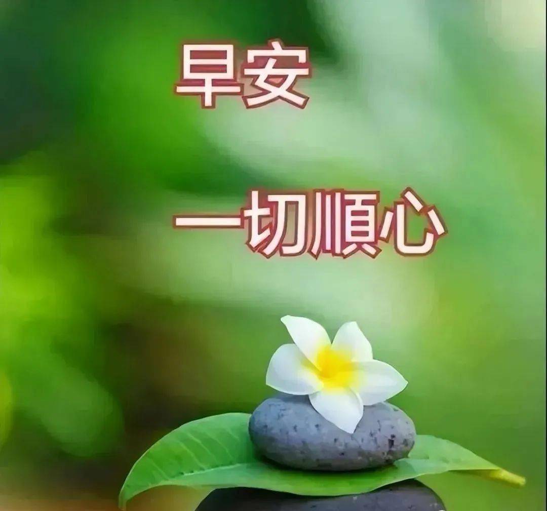 夏目濑石名句_夏目濑石_夏目簌石