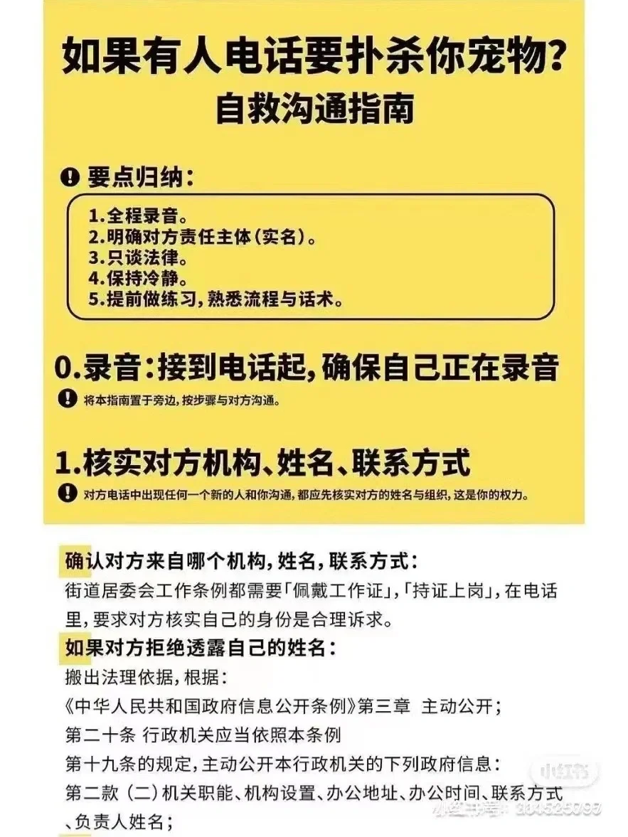 疫情期间孩子玩手机怎么办_疫情期间孩子沉迷游戏_疫情期间孩子们玩手机游戏