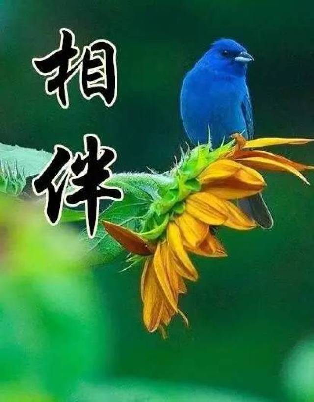 亚可，那个让我一见倾心的人，她的一颦一笑都印在我心里