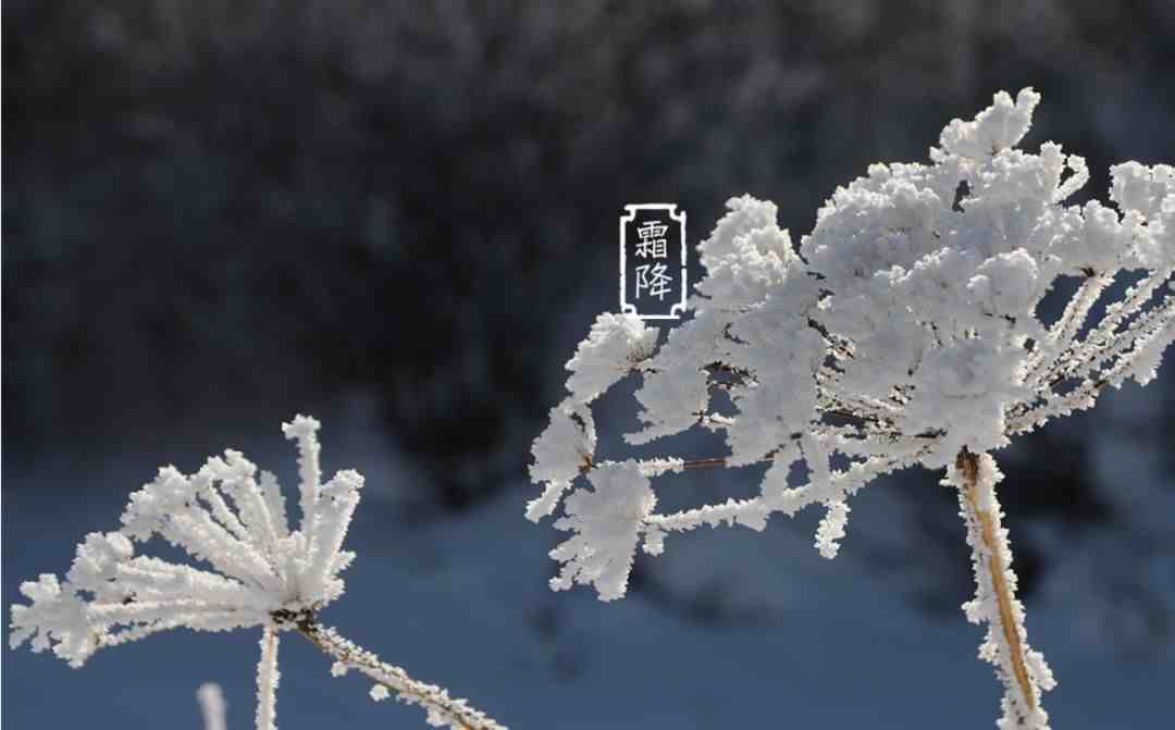 霜降是什么时候-霜降：不仅是节气，更是情感寄托，勾起年少温暖回忆