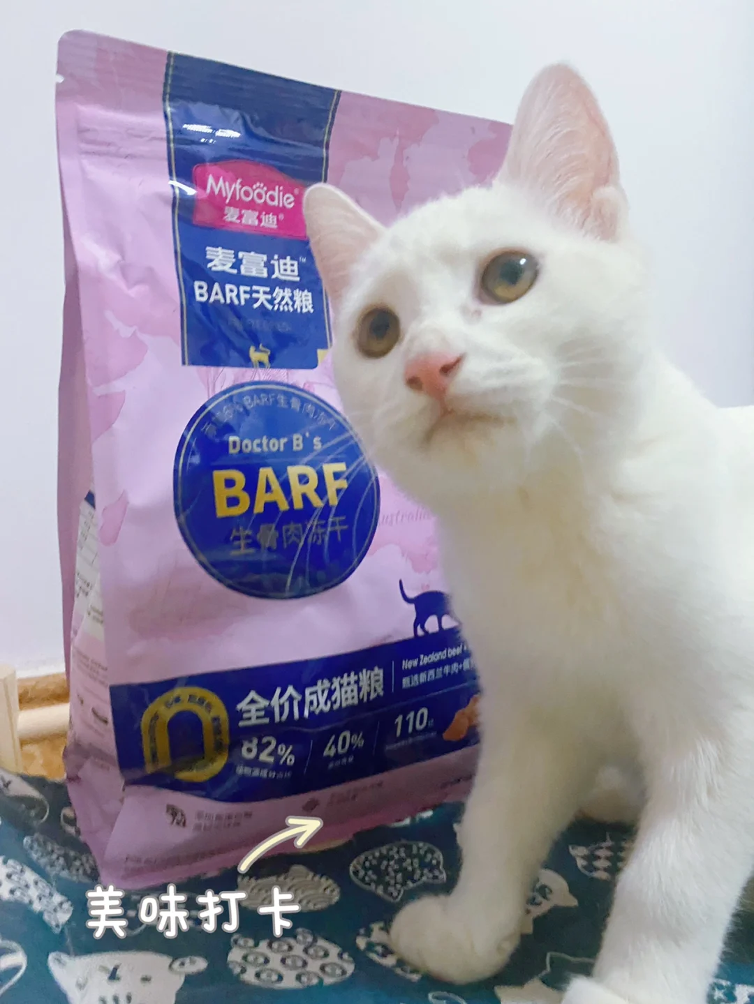 猫咪的意思怎么说_猫说的意思_修猫是什么意思