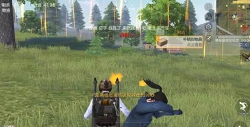 几大吃鸡游戏,生存竞技的魅力无限(图6) 几大吃鸡游戏,生存竞技的魅力无限(图6)