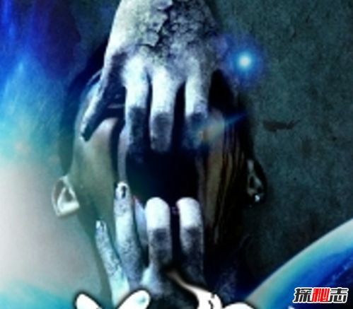 找鬼的游戏,惊悚体验与心理挑战的完美结合(图4) 找鬼的游戏,惊悚体验与心理挑战的完美结合(图4)