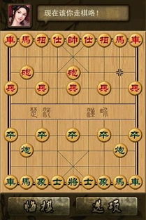 中国象棋下载,体验古老智慧，享受棋艺乐趣(图4)