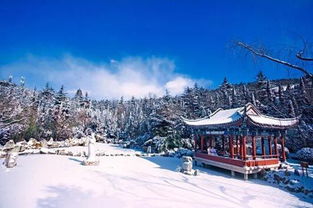 南山雪