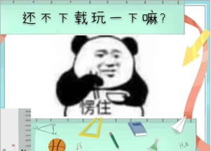 高三养成游戏,青春岁月的模拟之旅