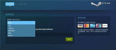 steam买游戏付款,轻松掌握付款流程(图2)